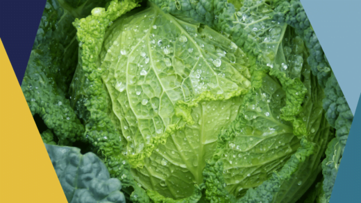 Les Choux en alimentation cétogène