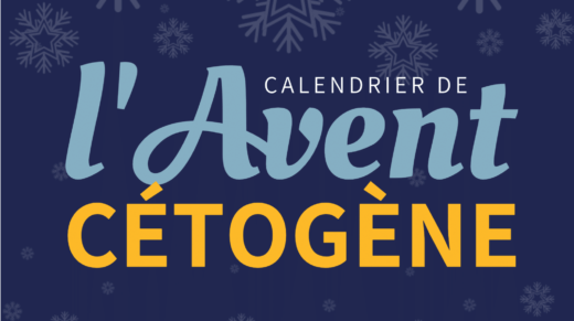 Calendrier de l'Avent Recettes Cétogènes