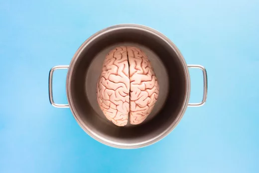 top view of a brain in a cup