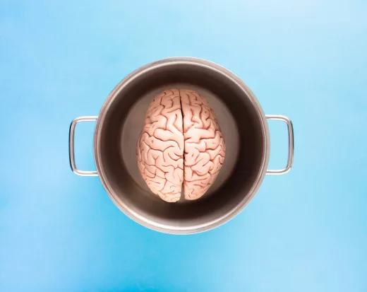 top view of a brain in a cup